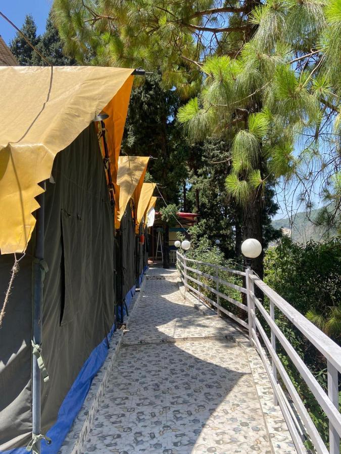 Hill Stone Mussorie Ξενοδοχείο Mussoorie Εξωτερικό φωτογραφία
